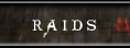 Raids